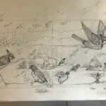 Pages 17